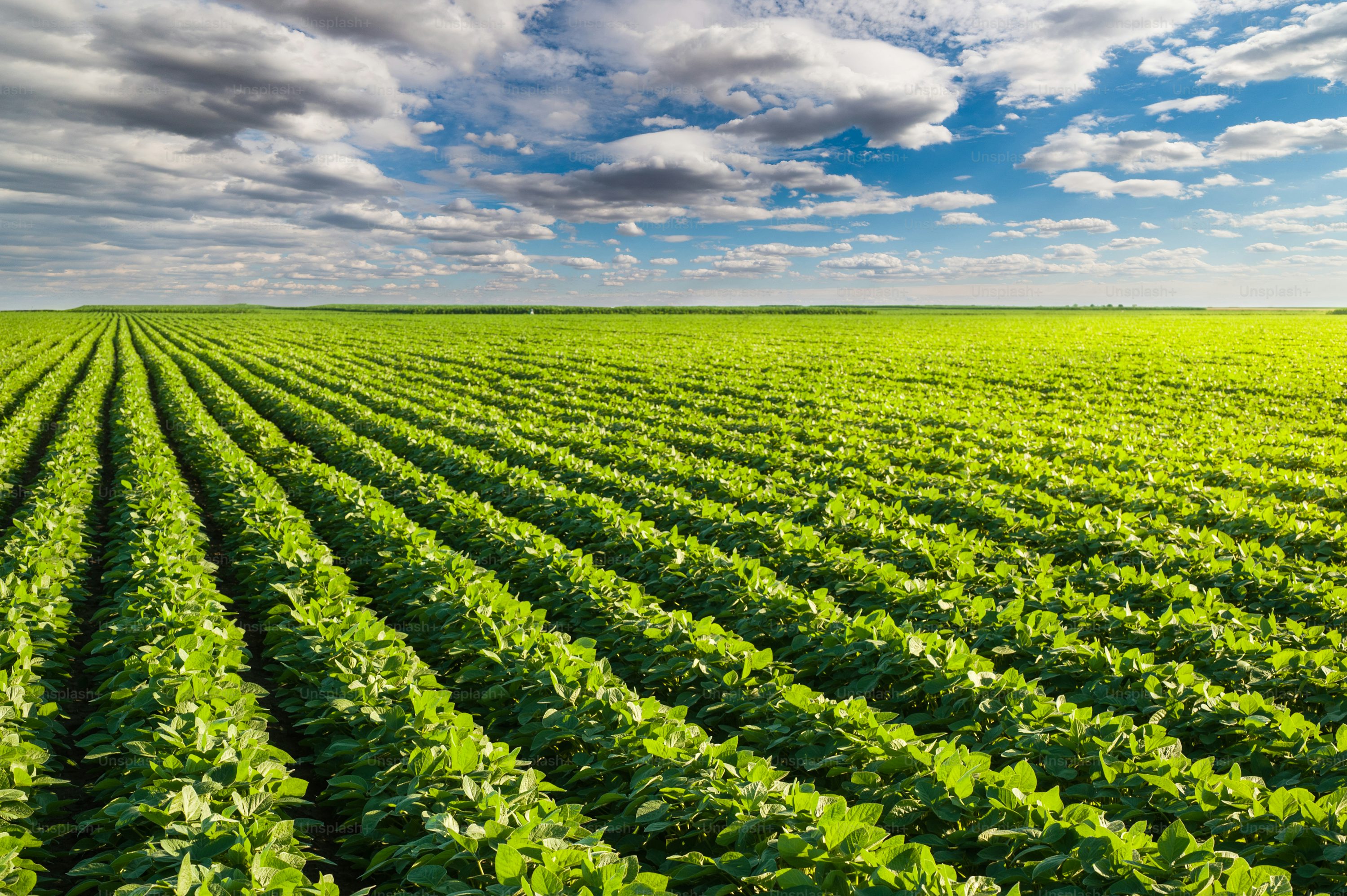 Climate-Smart Agriculture